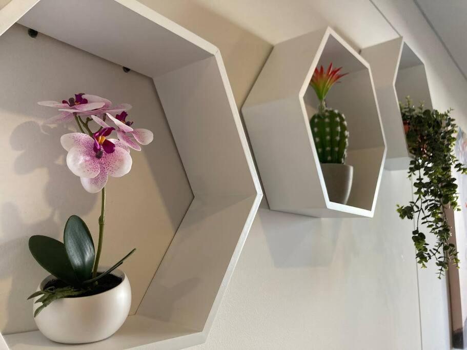 Acogedor Loft En Centro Internacional De Bogota Daire Dış mekan fotoğraf